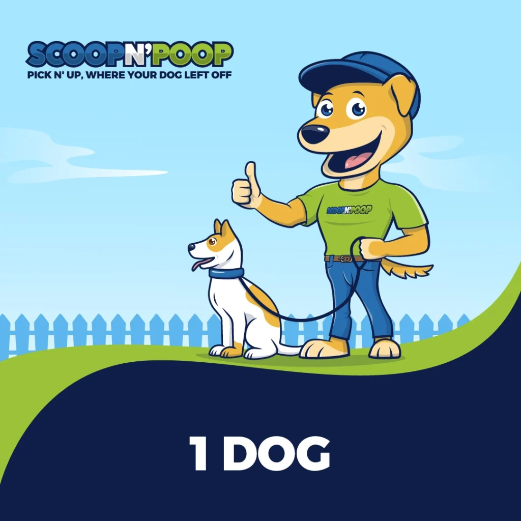 1 Dog