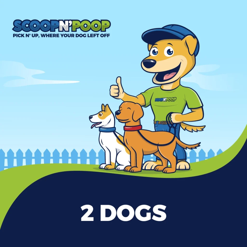 2 Dog
