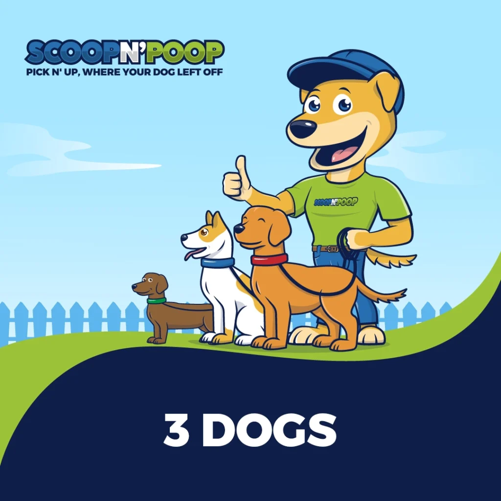 3 Dogs