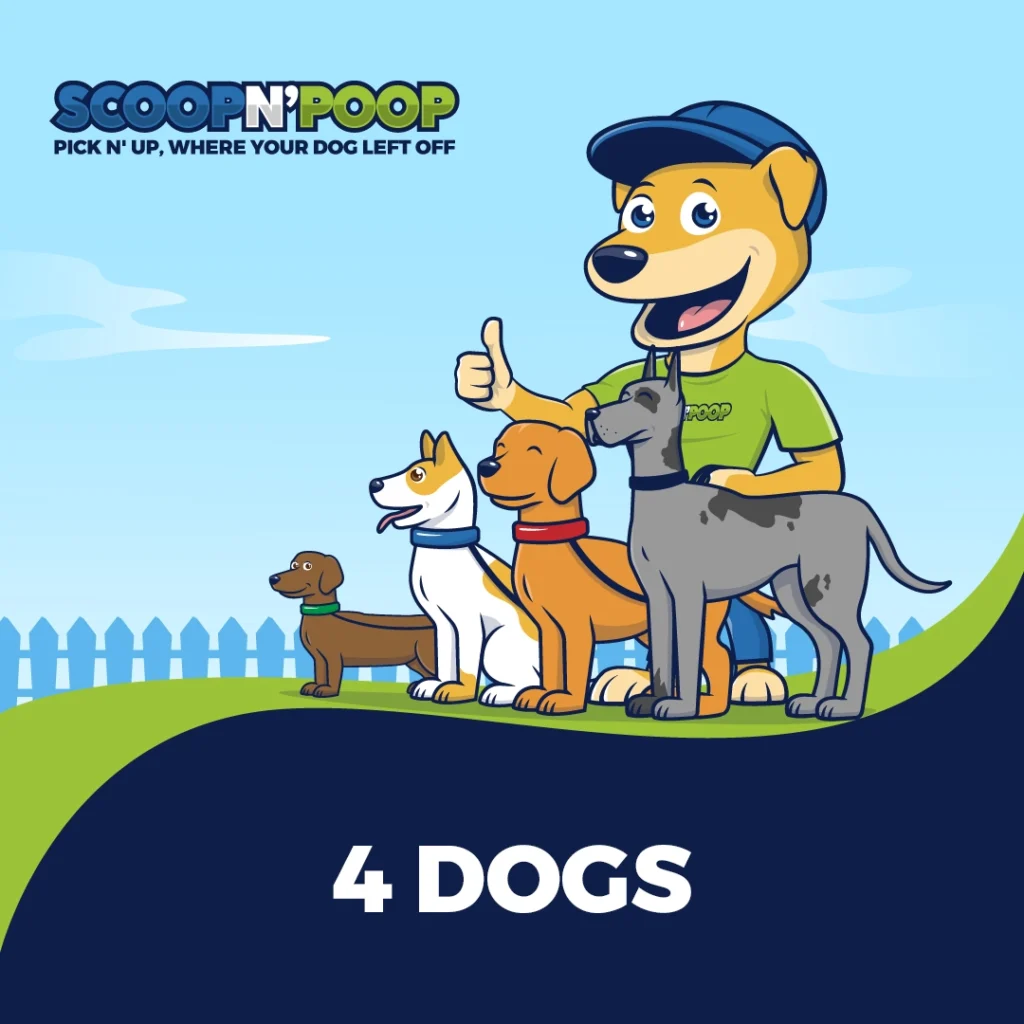 4 Dogs