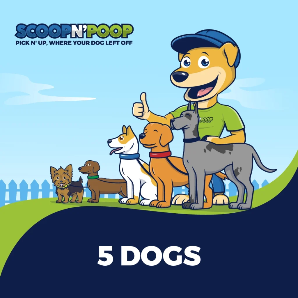 5 Dogs
