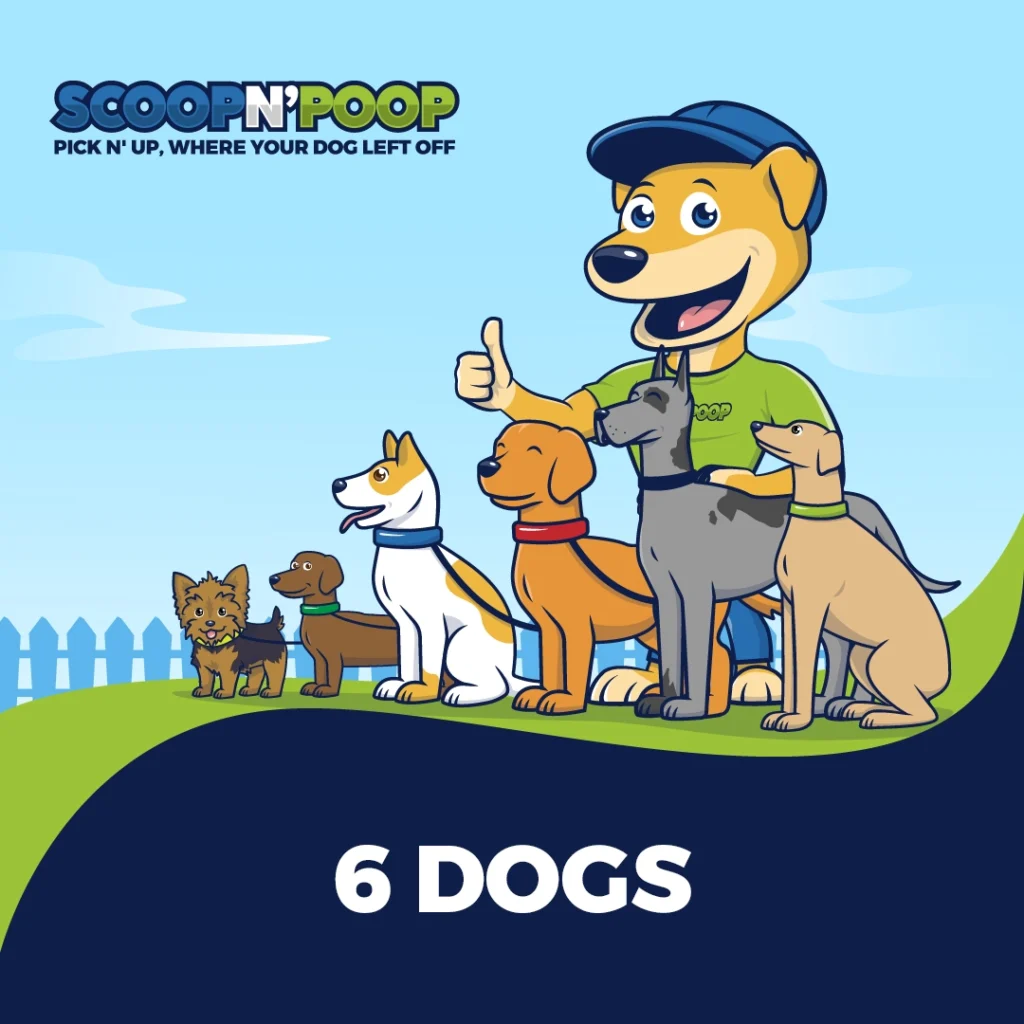 6 Dogs